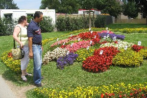 Thüringer Kreise mit Blumen gestaltet